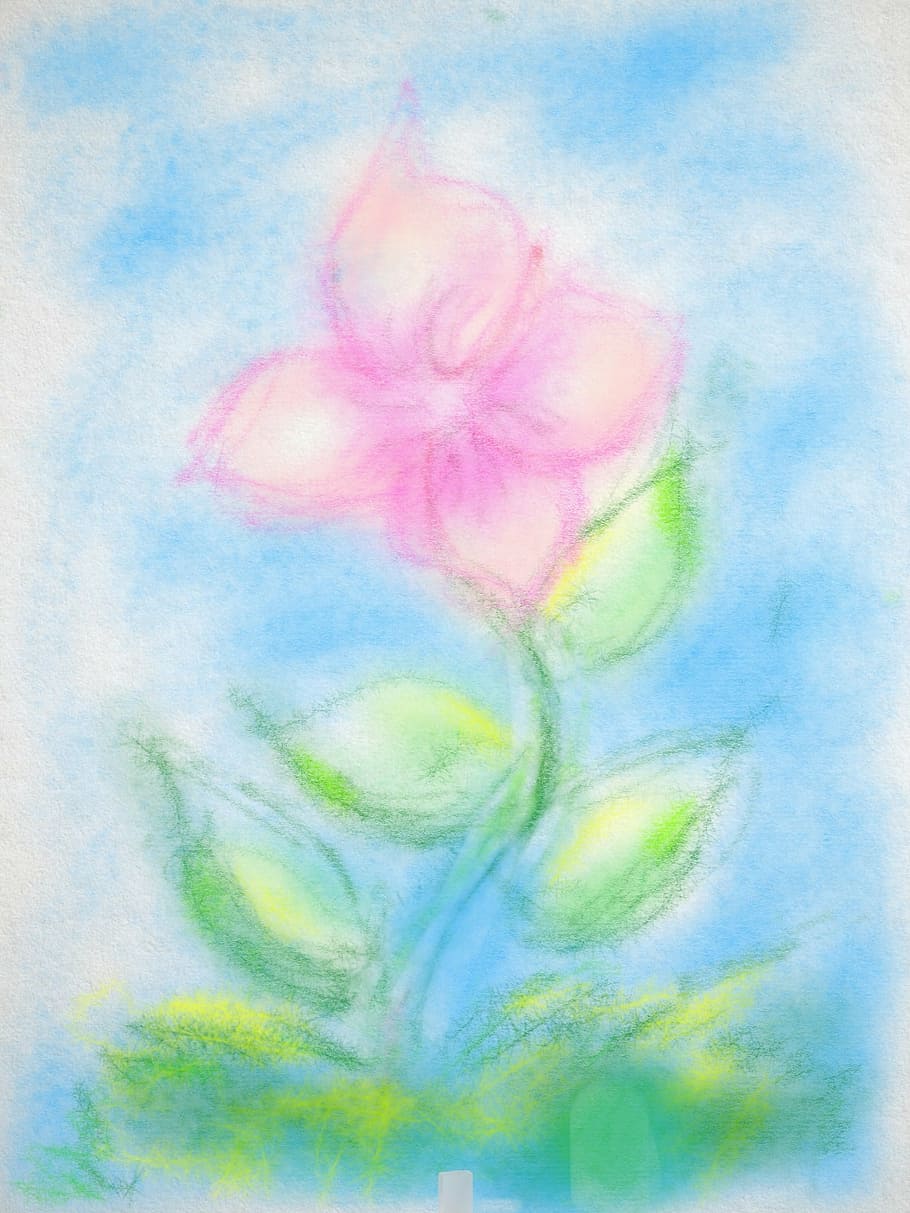 drawing, flower, pastels, multi colored, science, close-up HD wallpaper