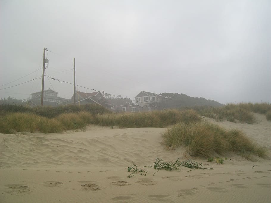 Beach, Sand, Sand, Grass, Ocean, Coast, Oregon, sandy, tourism HD wallpaper