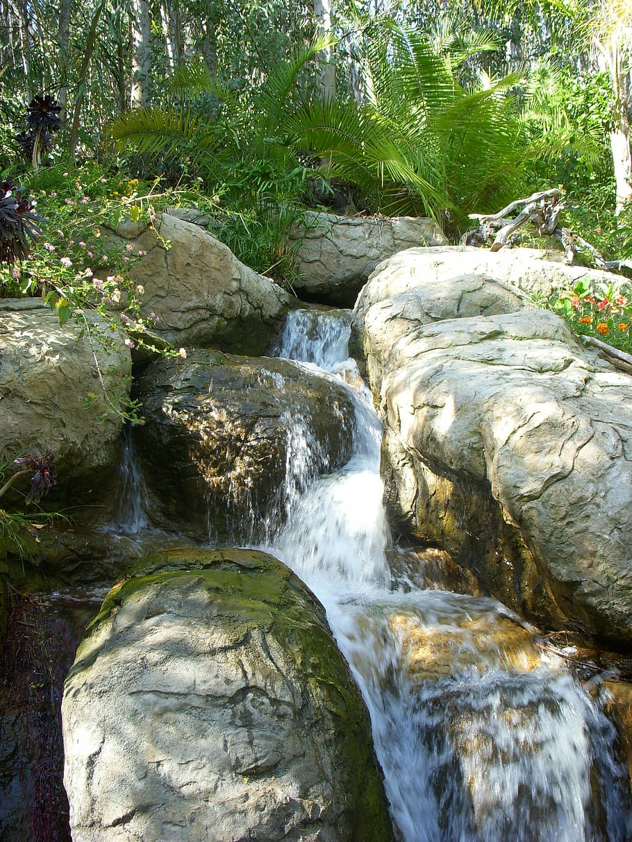 stream, wilderness, water, waterfall, cascades, rock, forest HD wallpaper