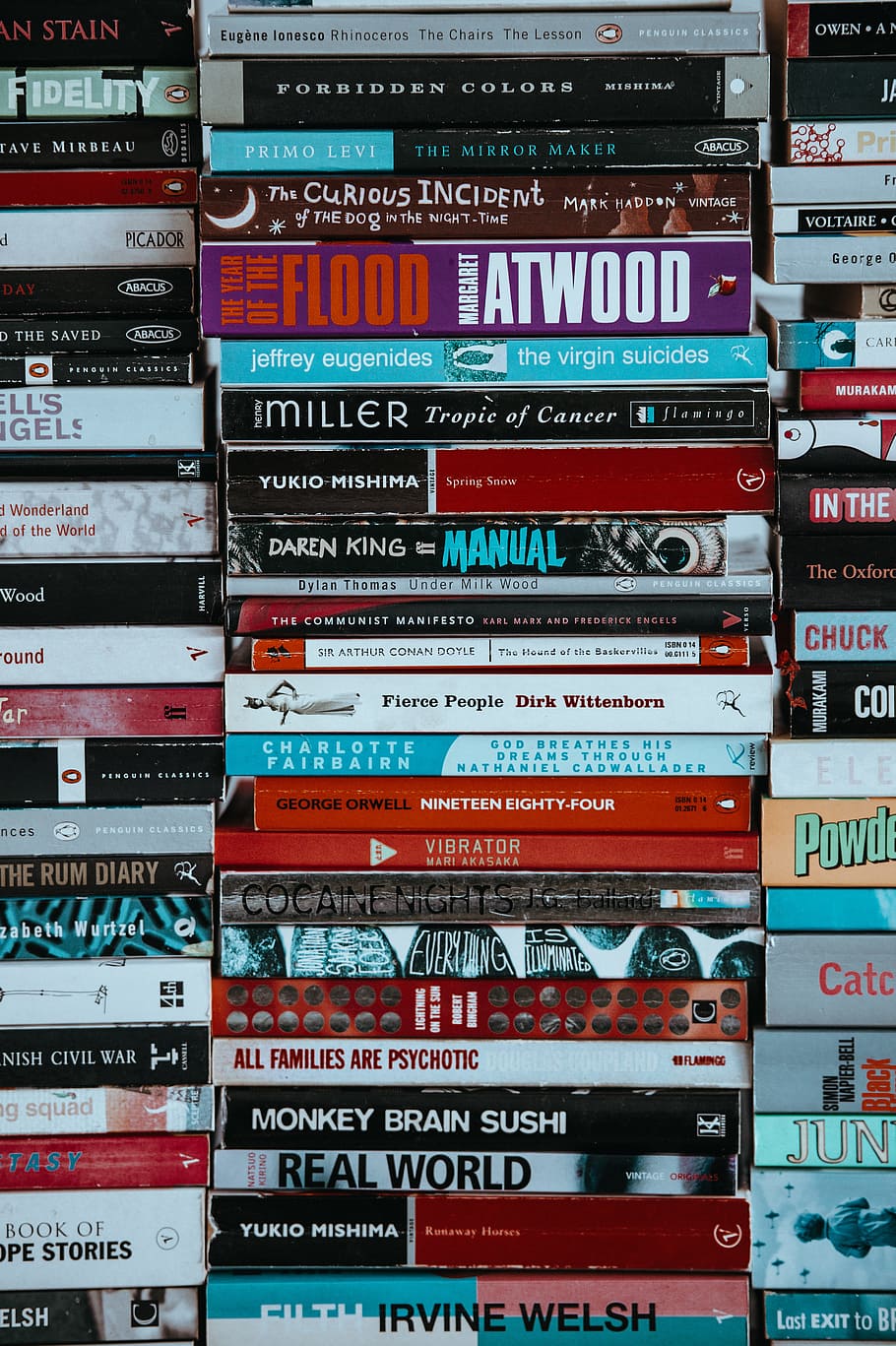 assorted-titled book lot, photograph of book collection, information Medium HD wallpaper