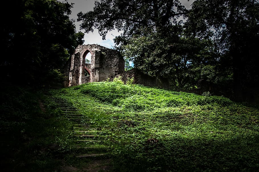 gray concrete building above green grass field surrounded by trees HD wallpaper