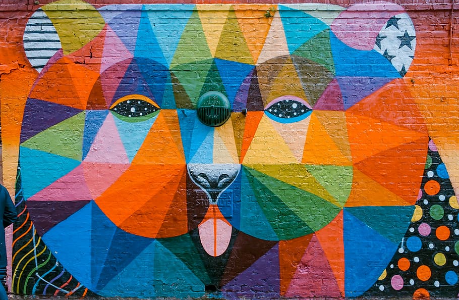 animal abstract painting, lion face graffiti painting, wall, art, HD wallpaper