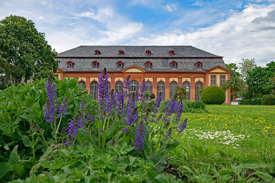 Orangery, Architecture, Spring, Flowers, places of interest HD wallpaper