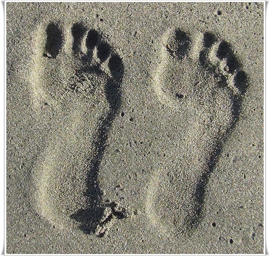 Footprint, Sand, Summer, day, beach, paw print, pattern, land HD wallpaper