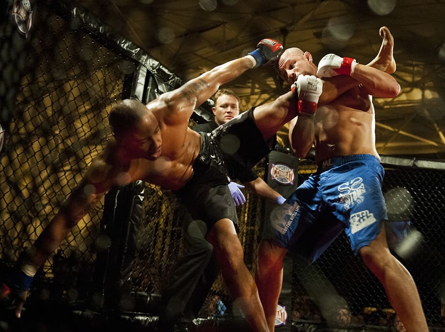 two MMA fighters fighting at octagon, men, match, competition