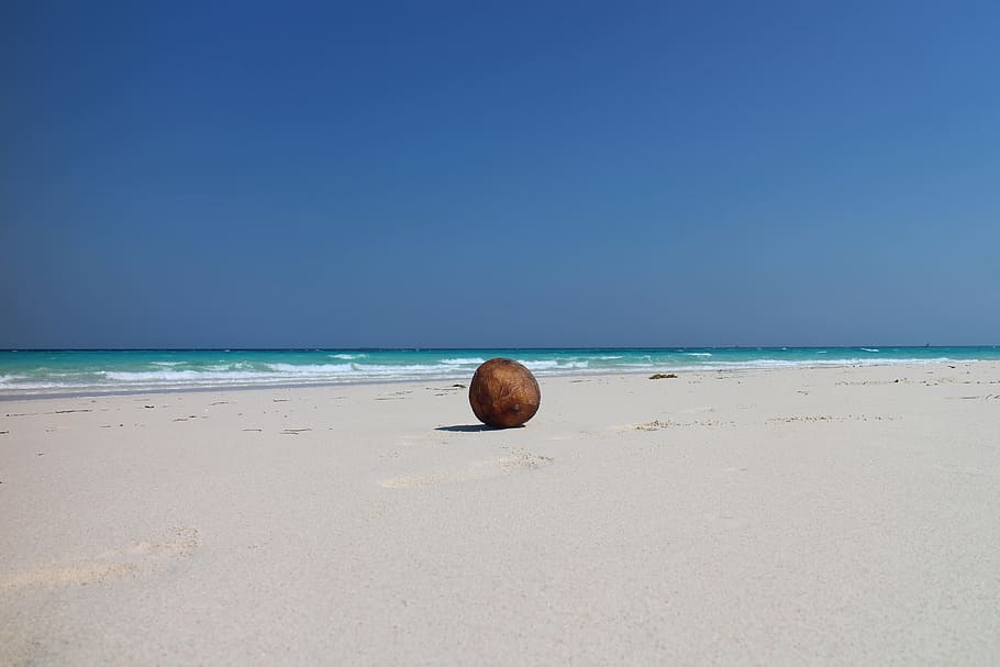 Coconut, Beach, Exotic, Palm, Island, sand, lagoon, sand beach, HD wallpaper