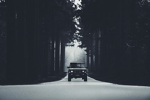 black car in between trees, vehicle on road between trees, forest HD wallpaper
