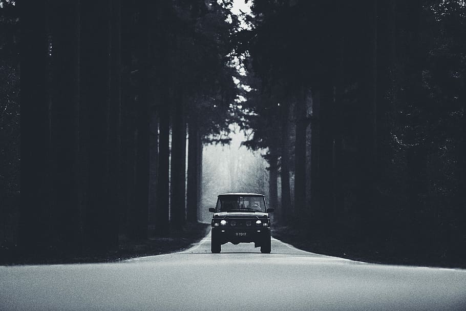 black car in between trees, vehicle on road between trees, forest HD wallpaper