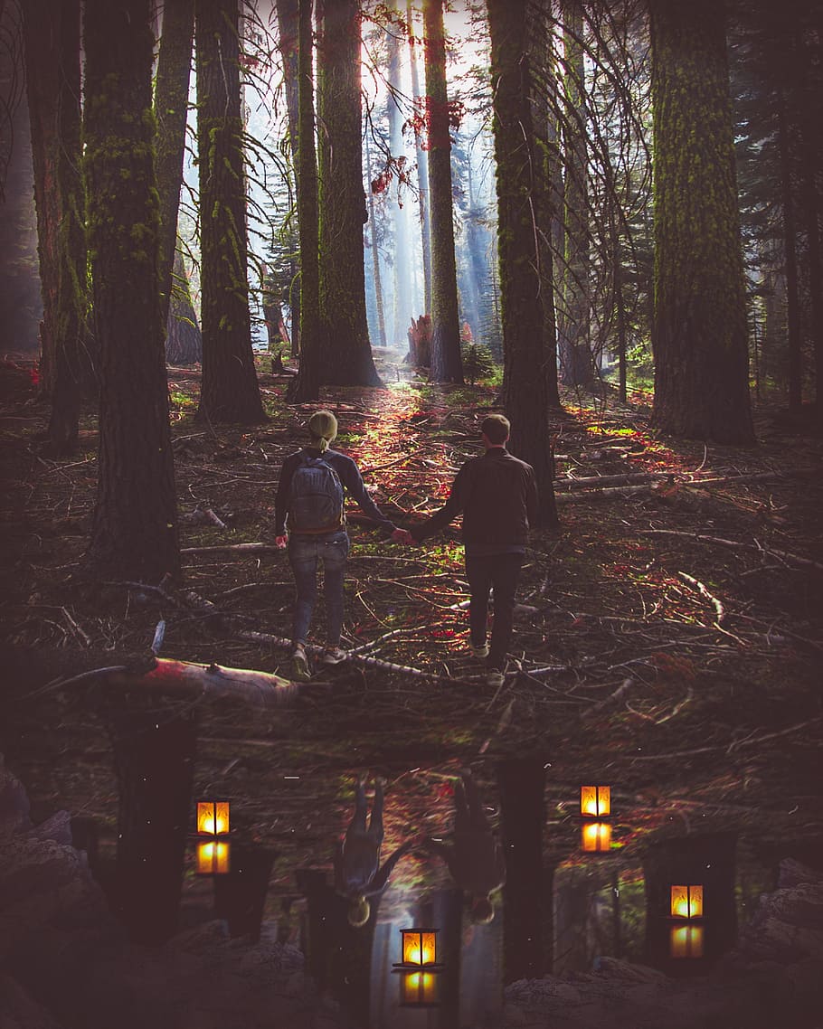 lanterns, lake, couple, forest, love, tree, plant, real people HD wallpaper