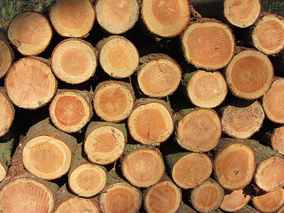 Tree Trunk, Wood Pile, Tribe, firewood, to chop wood, scratching post HD wallpaper