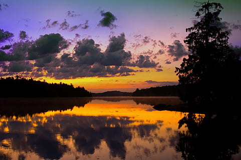 silhouette of tree during sunset, orange, dusk, dawn, waterfront HD wallpaper