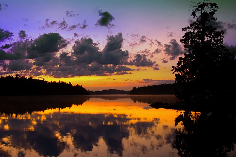 silhouette of tree during sunset, orange, dusk, dawn, waterfront HD wallpaper