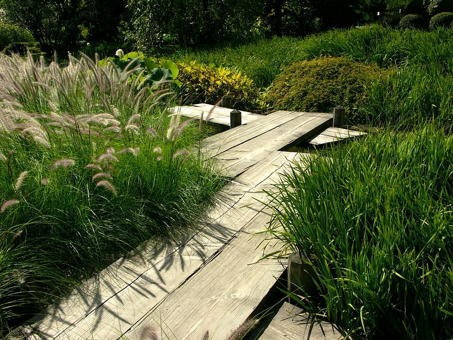 zen, pattern, meditation, relax, footpath, nature, grass, outdoors HD wallpaper