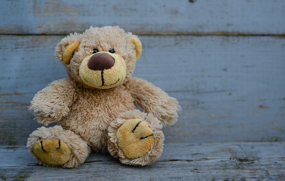brown bear plush toy on wooden surface, stuffed, teddy, animal HD wallpaper