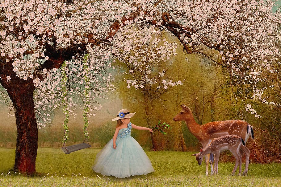 girl wearing blue dress, nature, grass, tree, park, outdoors HD wallpaper