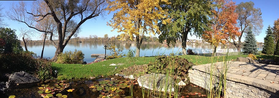 River, Fall, Landscape, tree, nature, scenics, outdoors, rural scene HD wallpaper