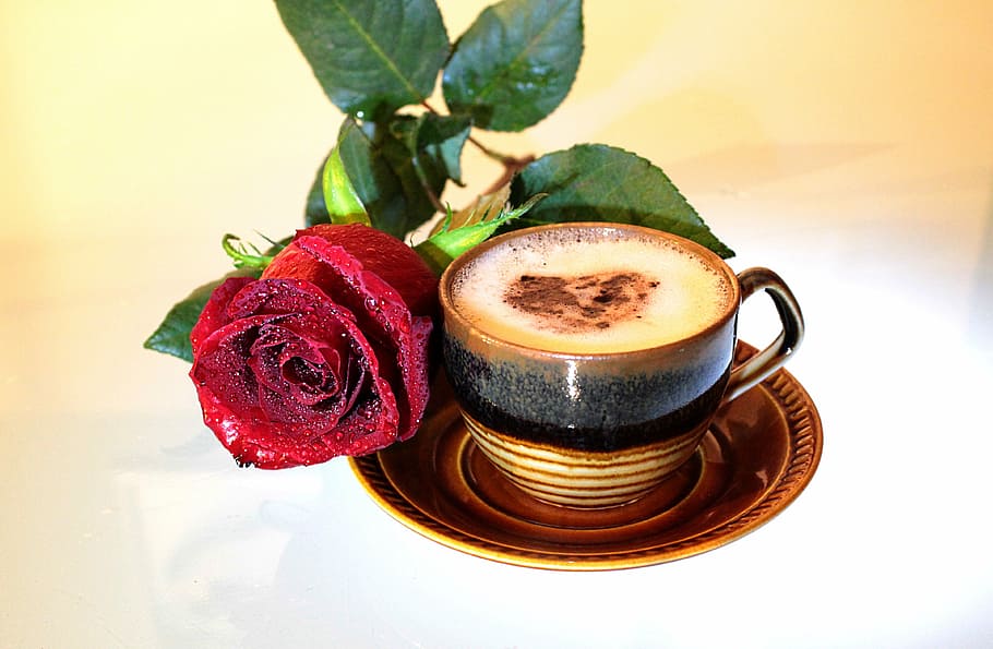 cup of coffee with red rose flower, foam, drink, heat - Temperature HD wallpaper
