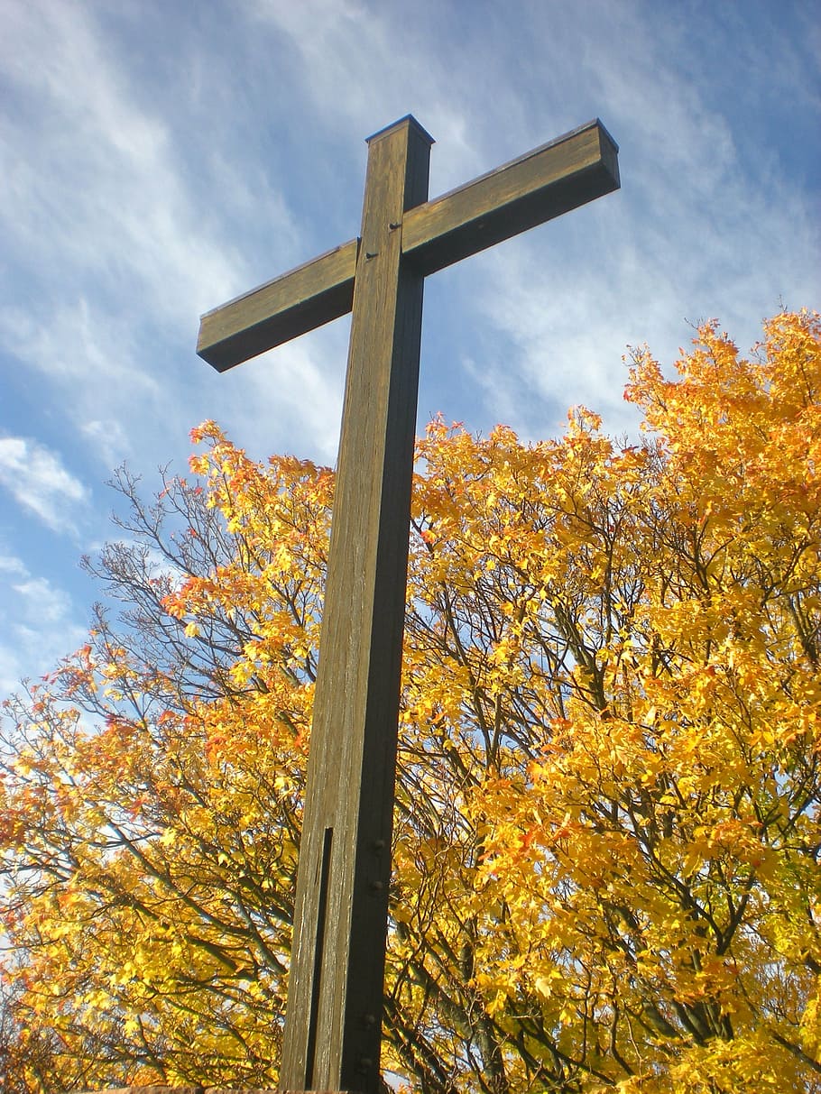 cross, tree, autumn, christianity, religion, crucifix, spirituality HD wallpaper