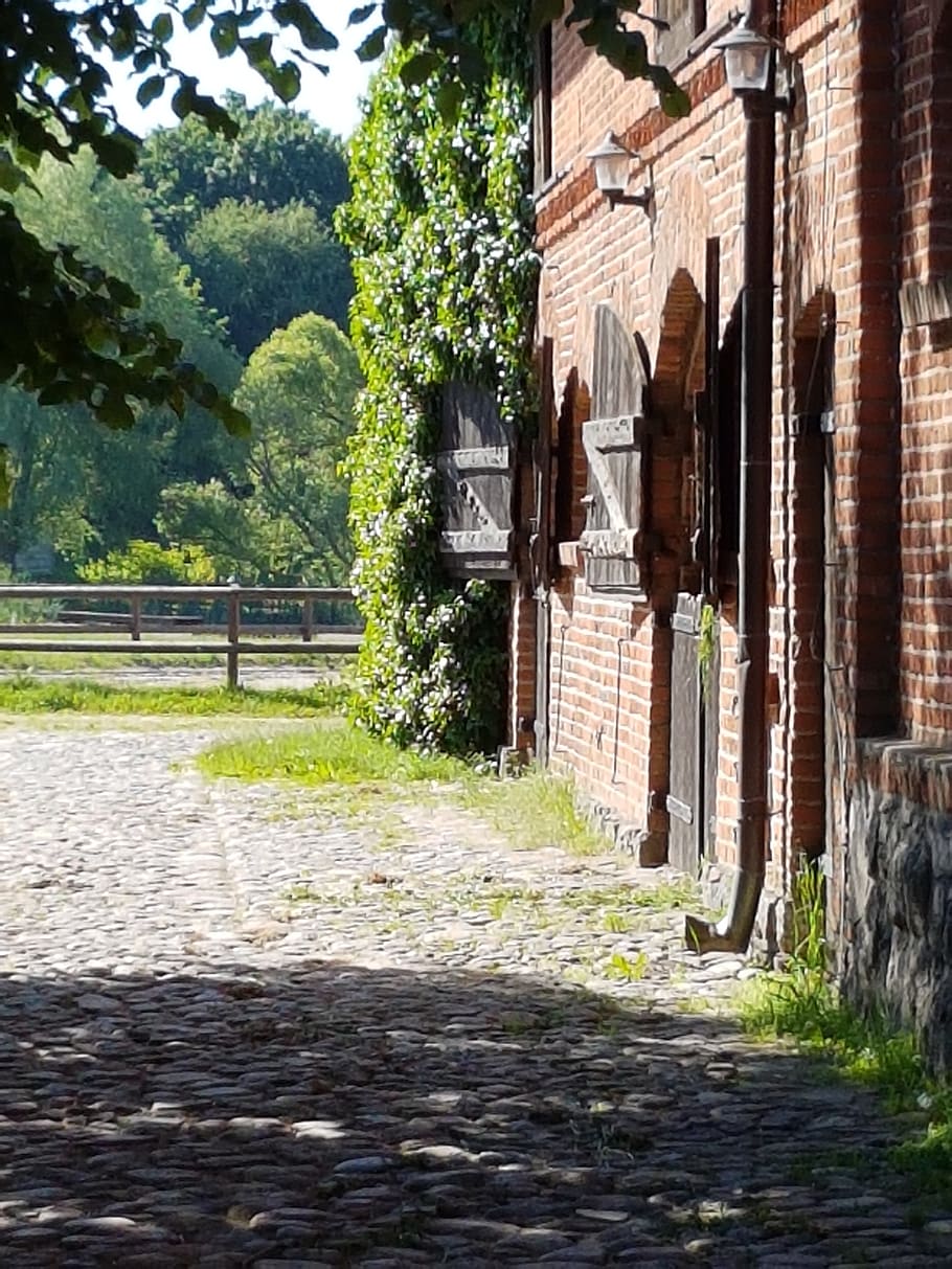 poland, warmia, stud, architecture, built structure, building exterior HD wallpaper