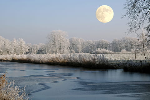 snow covered trees near the creek under the white moon, body of water HD wallpaper