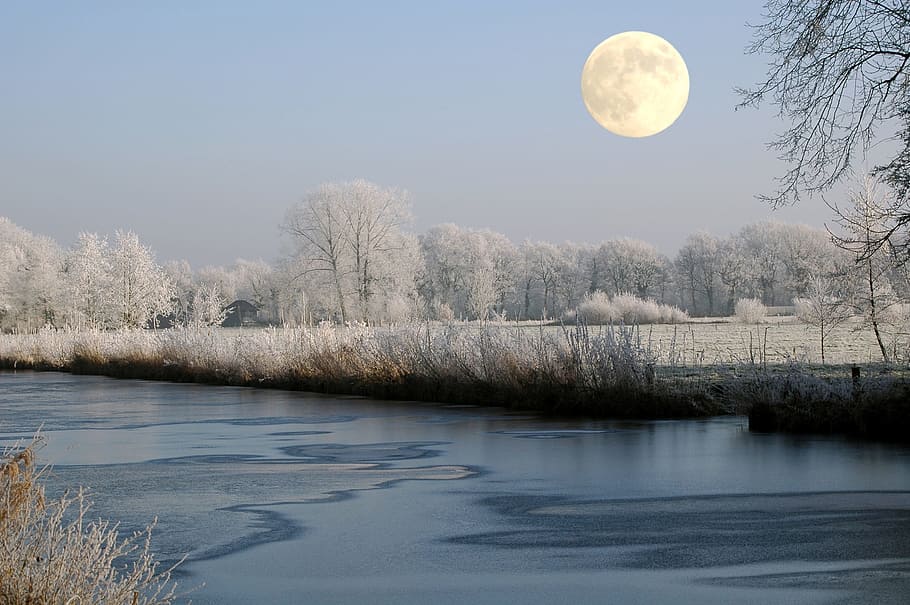 snow covered trees near the creek under the white moon, body of water HD wallpaper