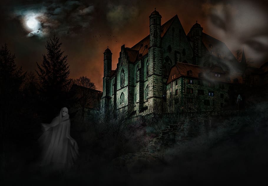 white and red haunted mansion digital wallpaper, castle, mystical