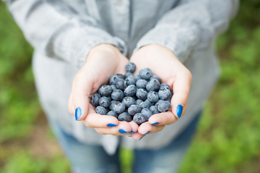 Handful of Blueberries, forest, fresh, fruits, girl, hands, healthy