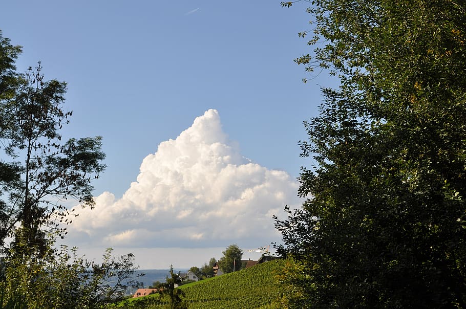 clouds, summer, clouds form, summer clouds, sky, blue, nature HD wallpaper