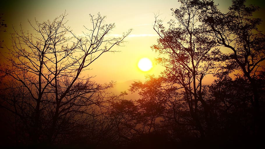 sunset, romantic, abendstimmung, sky, setting sun, afterglow HD wallpaper