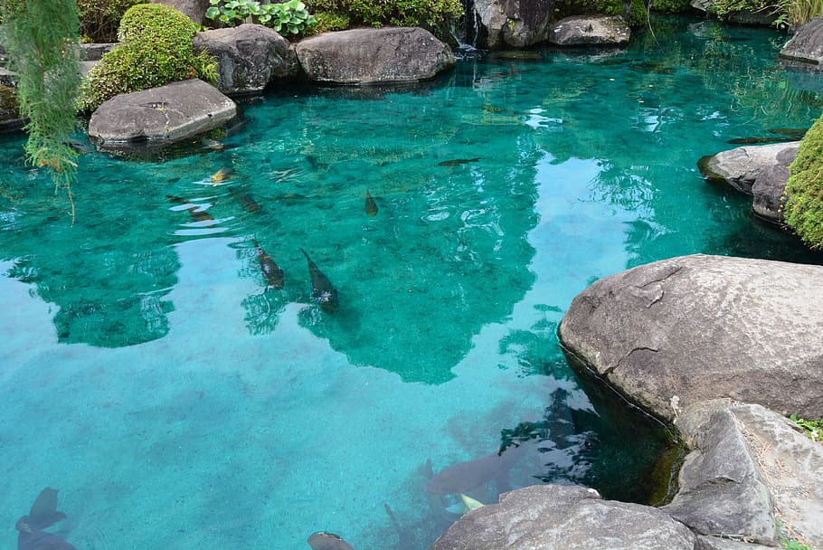 pond, carp, temple, rock, solid, water, rock - object, no people HD wallpaper