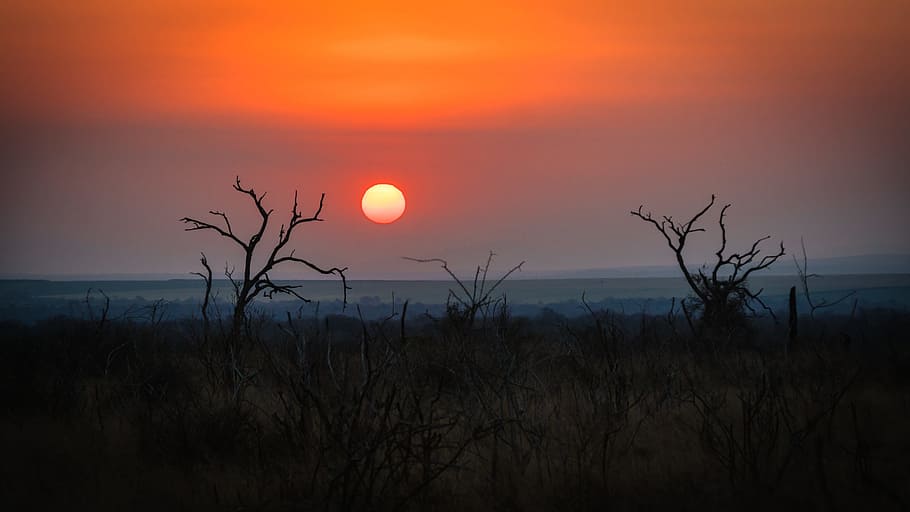 swaziland, africa, natural, savannah, sunset, sky, scenics - nature