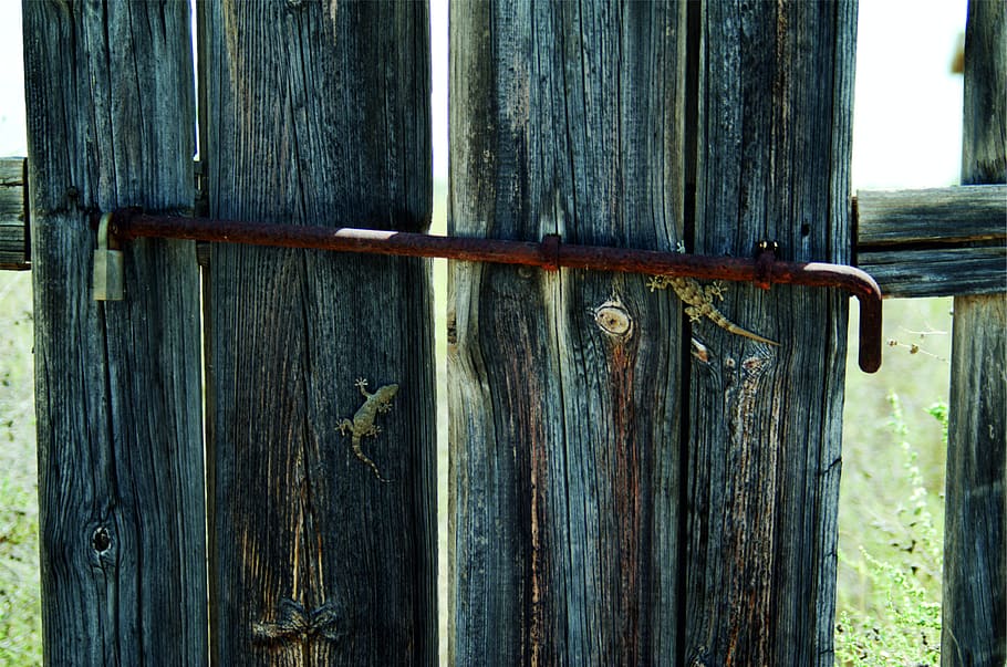 woods, fences, rustic, wood - material, safety, protection HD wallpaper