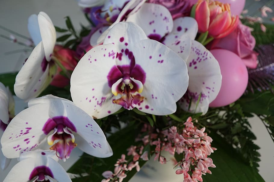 flowers, strauss, luftbalon, orchid, tulip, spring, fragrance, HD wallpaper