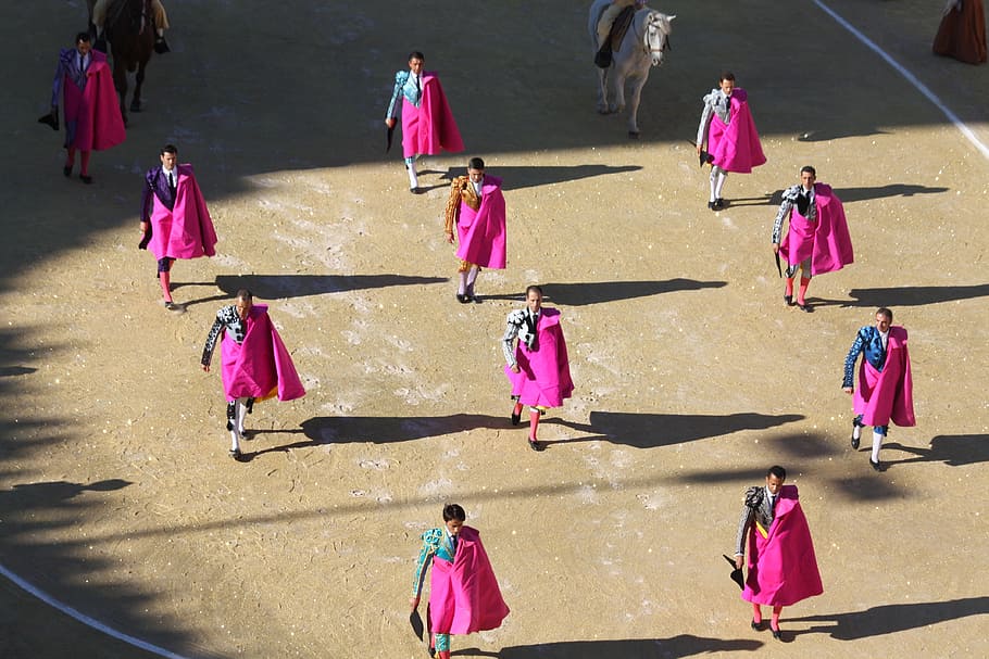 bullfight, man, group of people, pink color, women, real people HD wallpaper