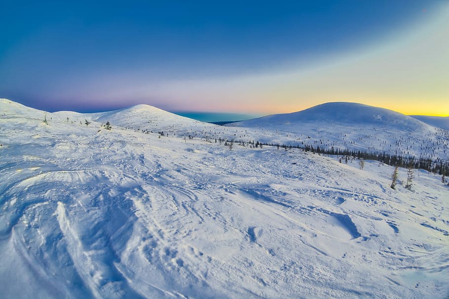 photo of snow field during daytime, snowy mountain, tree, sky HD wallpaper