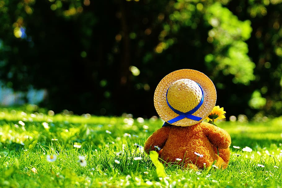 brown bear plush toy on grass, teddy bear, bears, stuffed animal, HD wallpaper