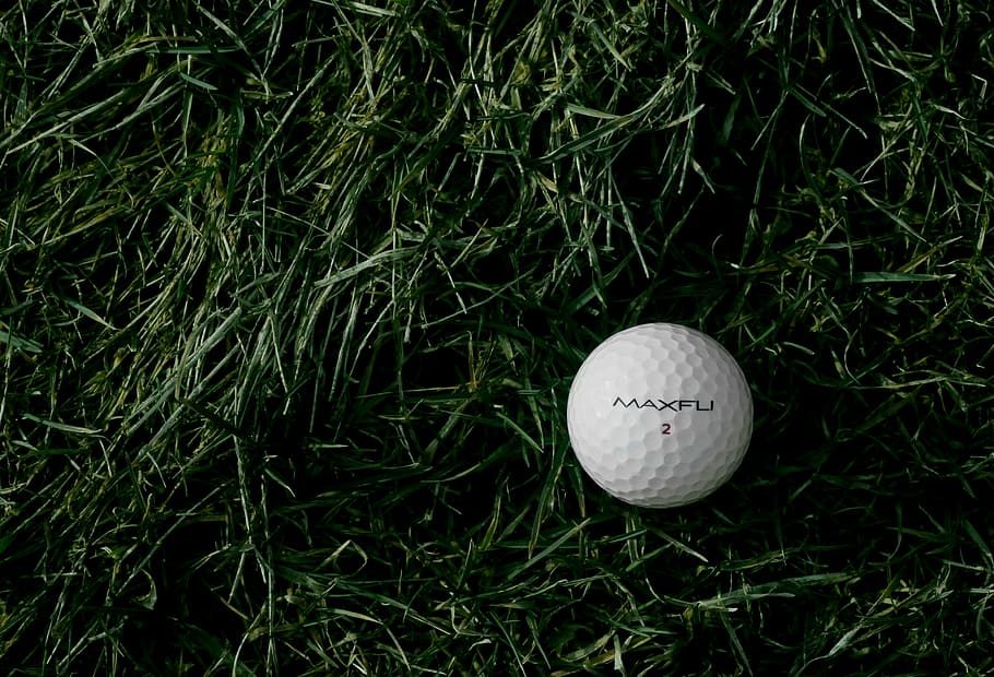 white Maxfu 2 golf ball on green grass, white golf ball on green grass lawn HD wallpaper