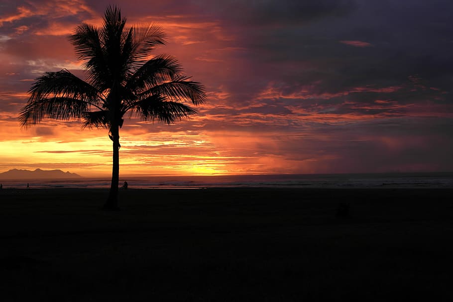 Sun, Landscape, Beach, Nature, born sun, horizon, dawn, beira mar, HD wallpaper