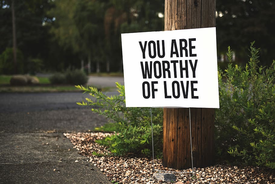 you are worthy of love sign beside tree and road, white signage beside tree trunk HD wallpaper