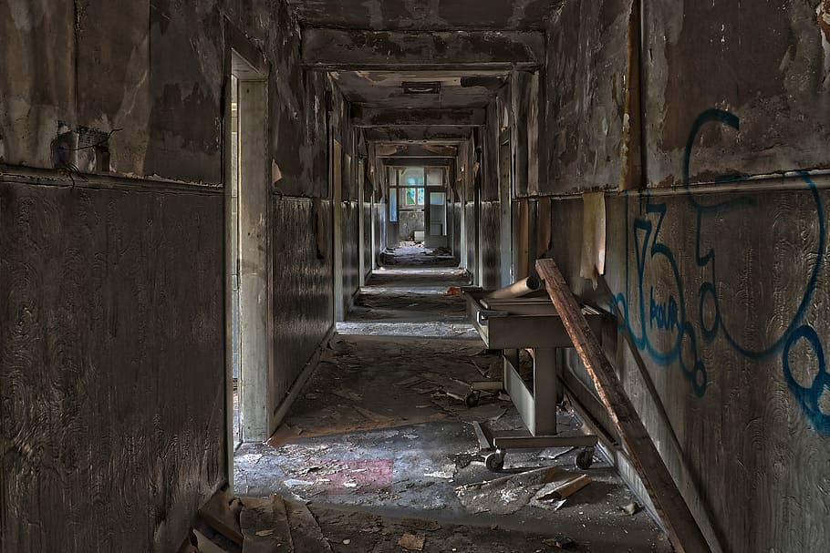 photo of narrow pathway on building, architecture, old, leave HD wallpaper