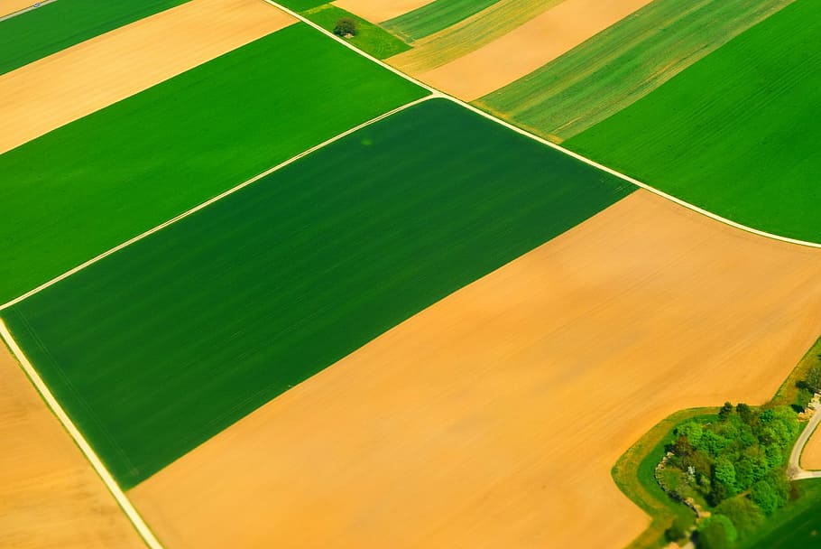 green grass field illustration, fields, arable, agriculture HD wallpaper
