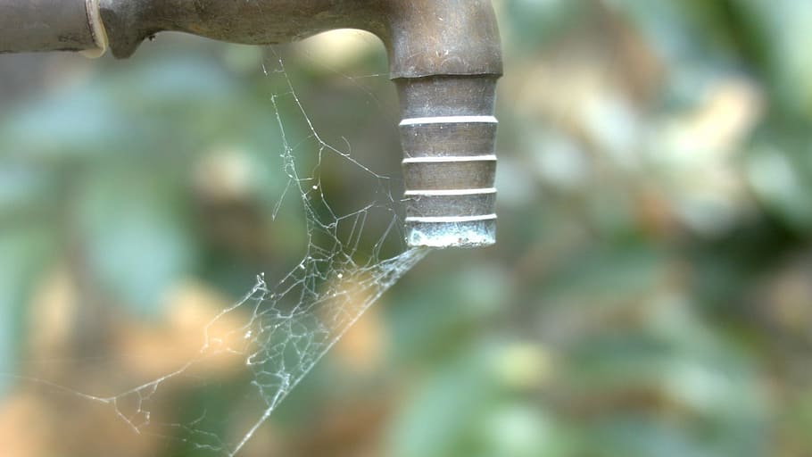 tap, water scarcity, spider web, no water, drought, close-up