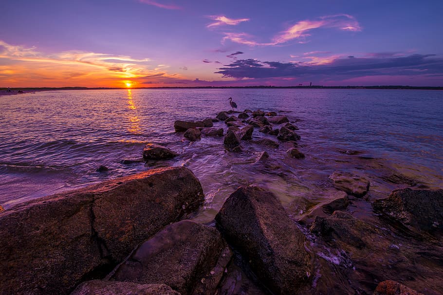 beach, gulf coast, florida, sunset, sky, sea, water, cloud - sky, HD wallpaper