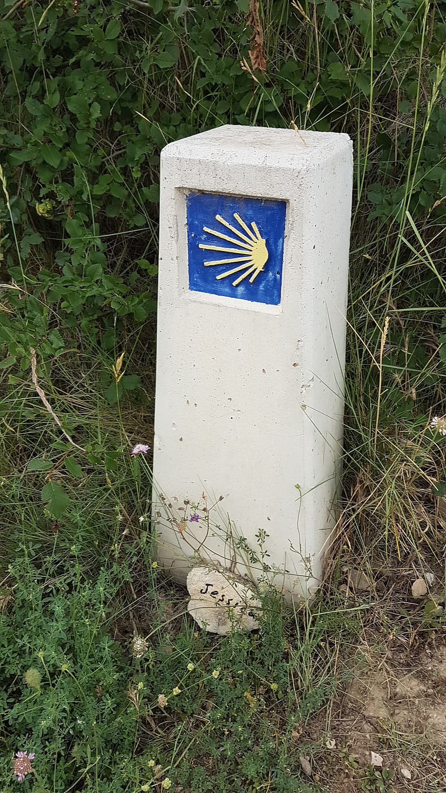 jakobsweg, shell, characters, scallop, pilgrimage, blue, camino HD wallpaper