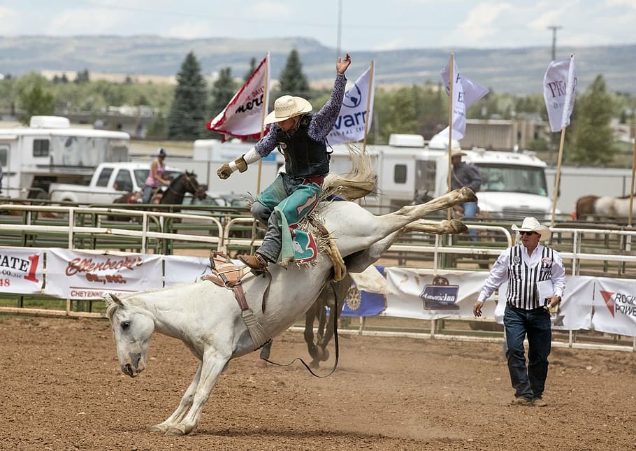 man riding horse, cowboys, bronc rider, rodeo, bronco, bucking, HD wallpaper