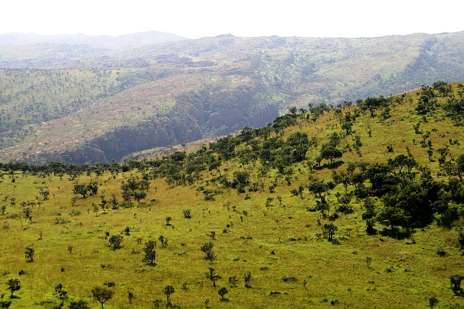hill, green, sloping, rolloing, high, aerial view, grass, veld HD wallpaper