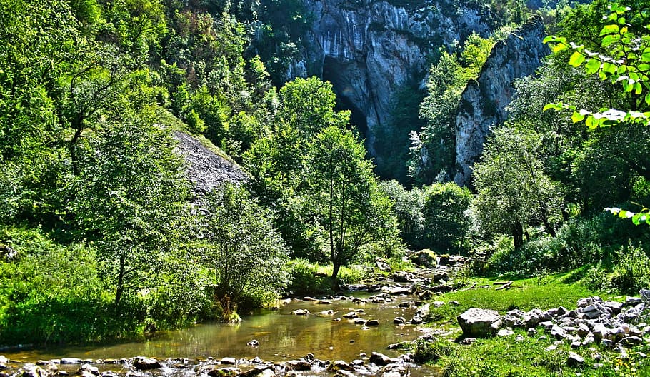 mountain, trees, river, nature, landscape, forest, travel, outdoor HD wallpaper
