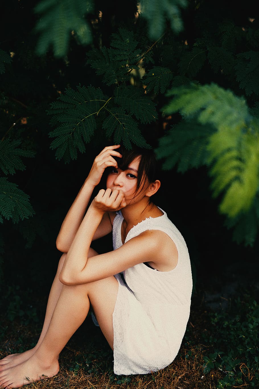 woman sitting under tree, girl sitting on grass while holding her mouth and hair HD wallpaper