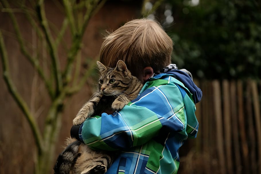 person hugging a silver tabby cat, friendship, child, together