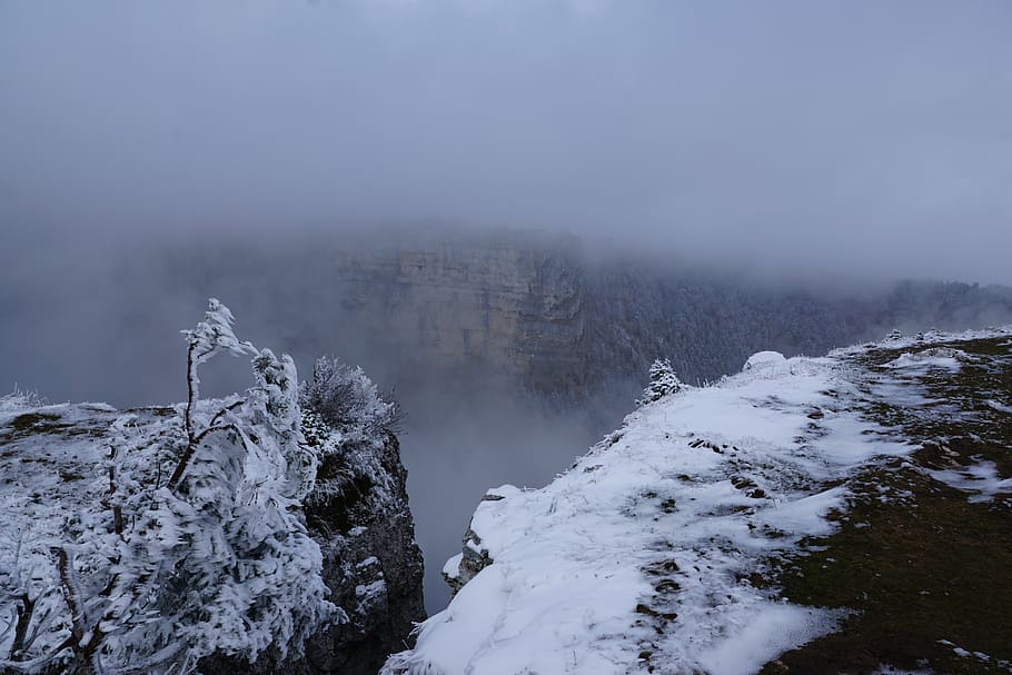 fog, winter, tree, landscape, nature, snow, cruix du van, cliff HD wallpaper